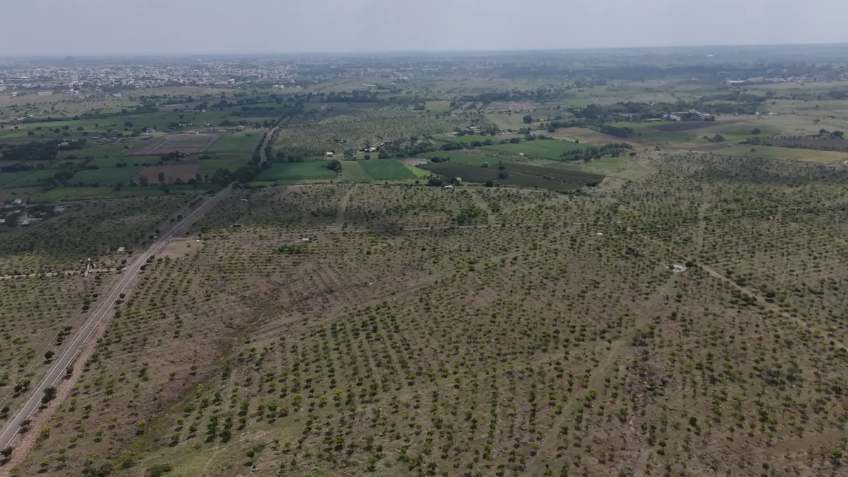 Green cover across rocky terrain